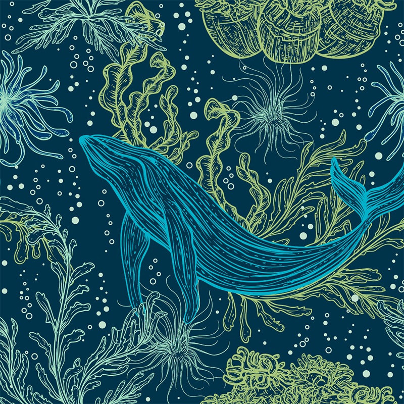 20oz-tkwide-with-twist-cap-ocean-day-b0 20oz_tkwide_bottle_seasonal_ocean_day_blue_whale_artwork_square.png