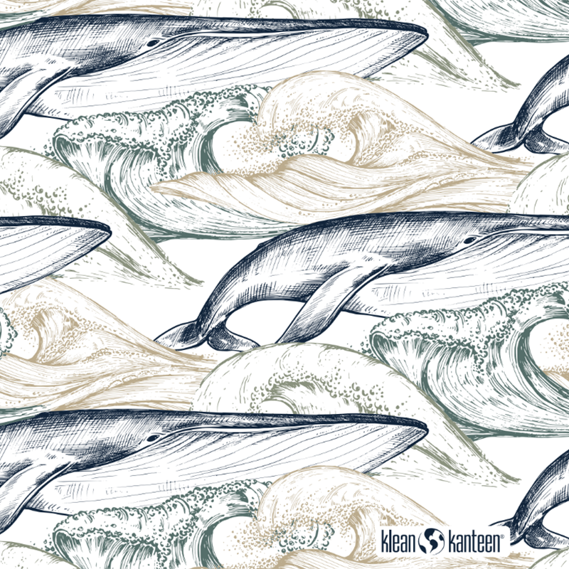 20oz-tkwide-with-twist-cap-ocean-day-b0 20oz_tkwide_bottle_seasonal_ocean_day_whale_artwork_square.png