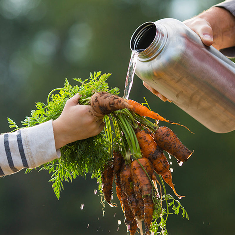 64oz-wide-with-loop-cap-q1 64oz_wide_mouth_bottle_carrots_rinse_square.jpg
