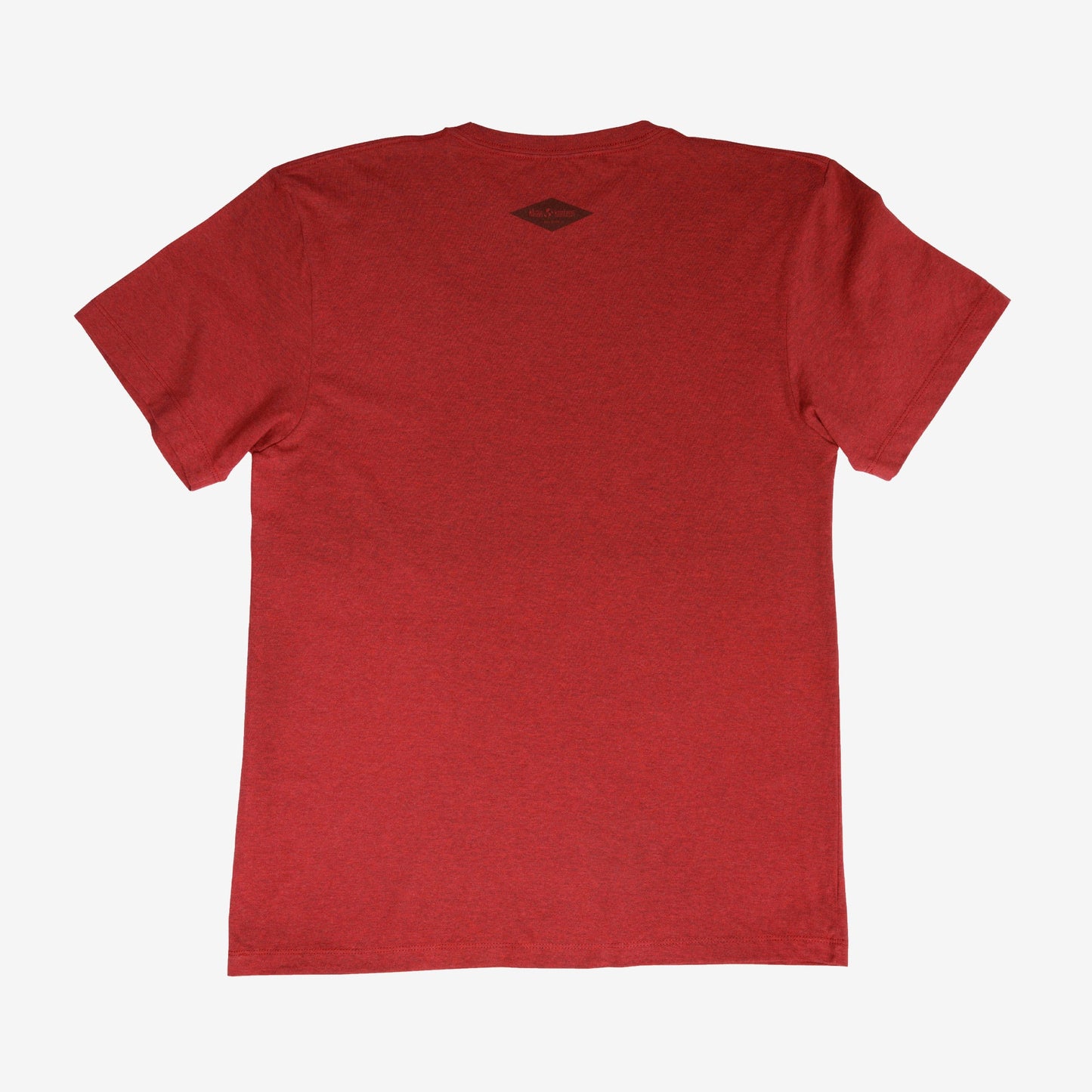 backyard-t-shirt-u1 Shirt_Mtn_Back.jpg